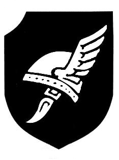 38-я гренадерская дивизия СС «Нибелунген»